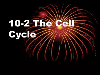 10-2 The Cell Cycle