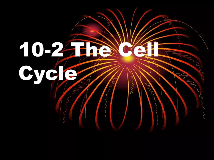 10 2 the cell cycle