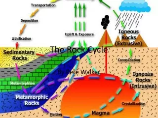 The Rock Cycle