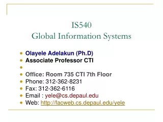IS540 Global Information Systems