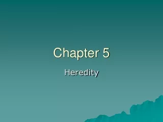 Chapter 5