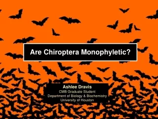 Are Chiroptera Monophyletic?