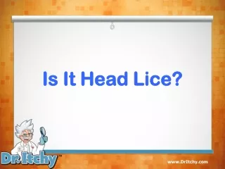 Is It Head Lice?