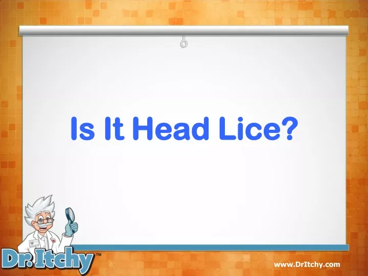 is it head lice