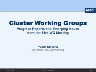 Cluster Working Groups Progress Reports and Emerging Issues  from the 63rd WG Meeting