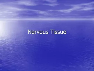 Nervous Tissue