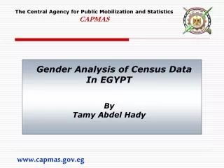 Gender Analysis of Census Data In EGYPT By Tamy Abdel Hady