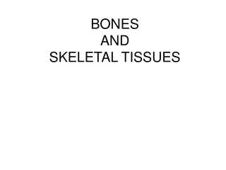 BONES AND SKELETAL TISSUES