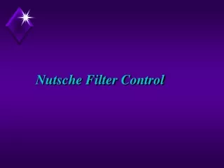 Nutsche Filter Control