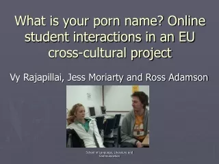 What is your porn name? Online student interactions in an EU cross-cultural project