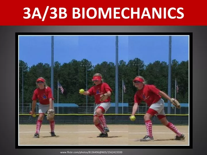 3a 3b biomechanics