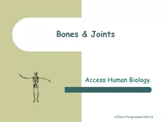 Bones &amp; Joints