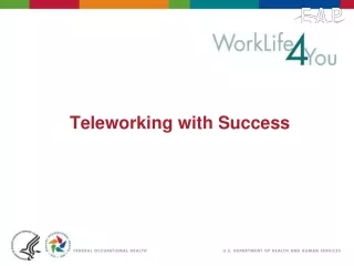 Teleworking with Success