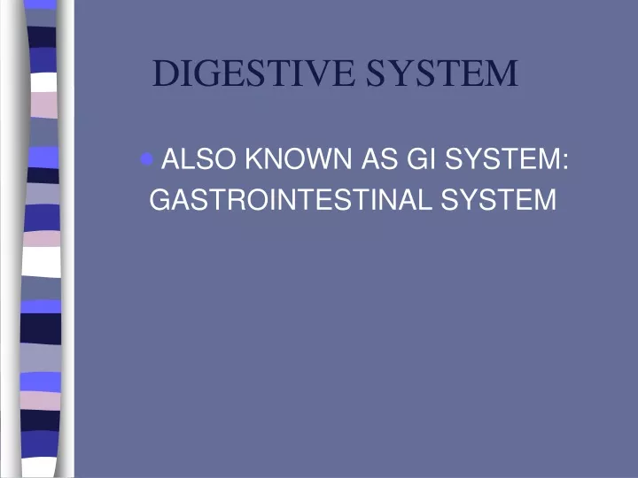 digestive system