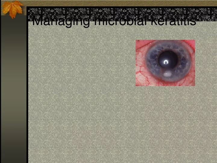 managing microbial keratitis
