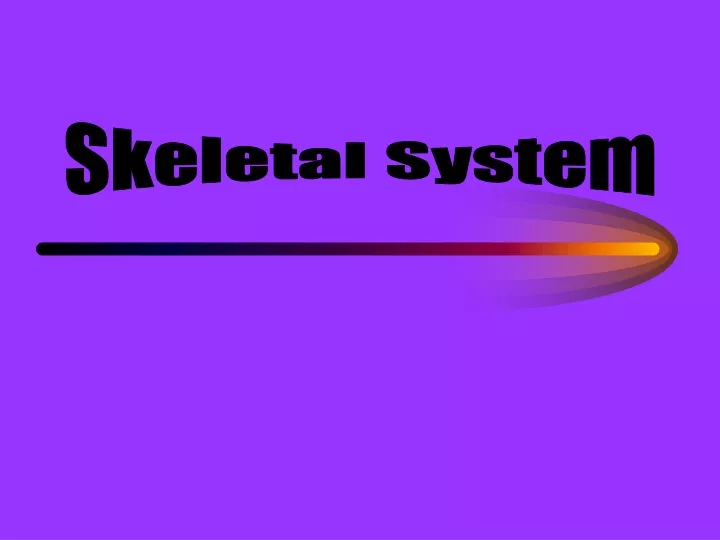 skeletal system