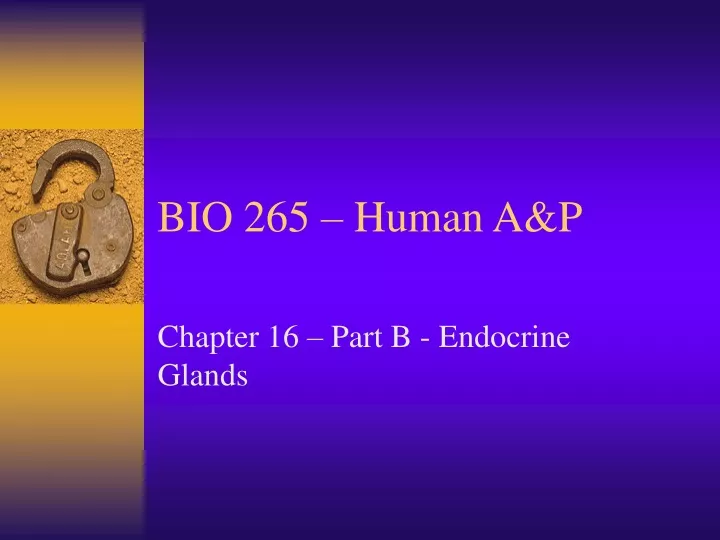 bio 265 human a p