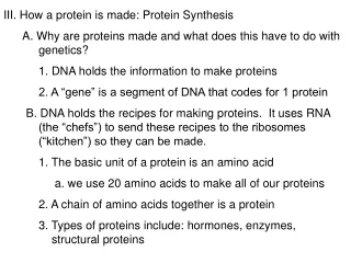 III. How a protein is made: Protein Synthesis