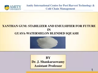 XANTHAN GUM: STABILIZER AND EMULSIFIER FOR FUTURE IN  GUAVA-WATERMELON BLENDED SQUASH