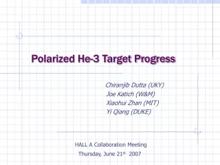Polarized He-3 Target Progress