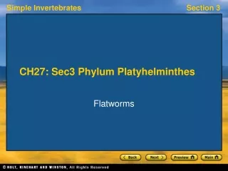 CH27: Sec3 Phylum Platyhelminthes