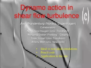 Dynamo action in shear flow turbulence