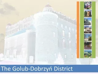 The Golub-Dobrzy? District