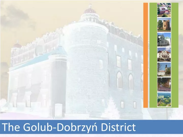 the golub dobrzy district