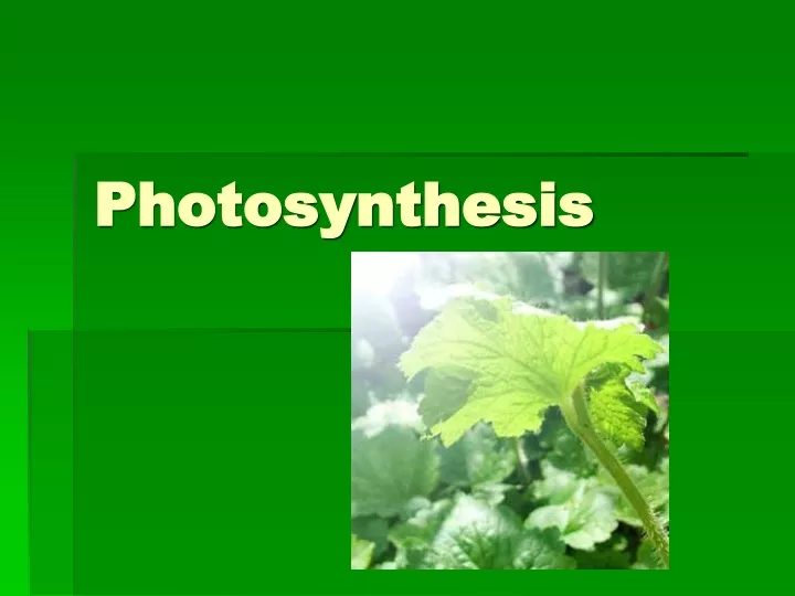 photosynthesis