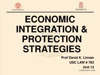 ECONOMIC INTEGRATION &amp;  PROTECTION STRATEGIES
