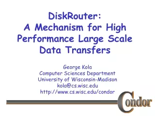 DiskRouter:  A Mechanism for High Performance Large Scale Data Transfers