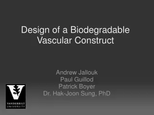 Design of a Biodegradable Vascular Construct