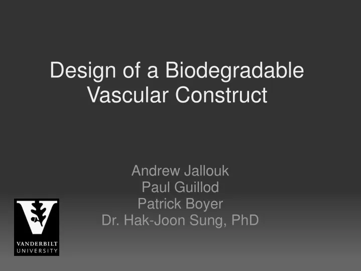 design of a biodegradable vascular construct
