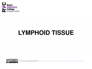 LYMPHOID TISSUE