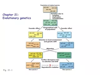 Fig. 21-1