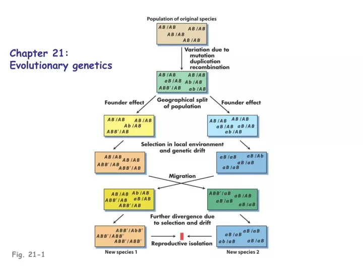 chapter 21 evolutionary genetics