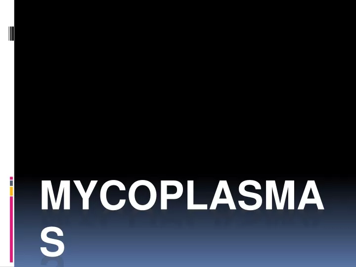 mycoplasmas