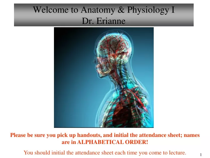 welcome to anatomy physiology i dr erianne
