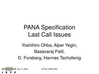 PANA Specification Last Call Issues