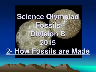 Science Olympiad Fossils Division B 2015 2- How Fossils are Made