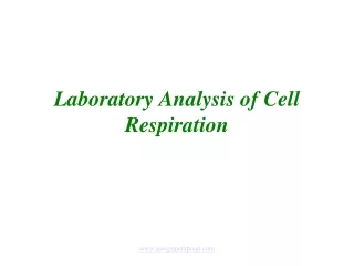 Laboratory Analysis of Cell Respiration