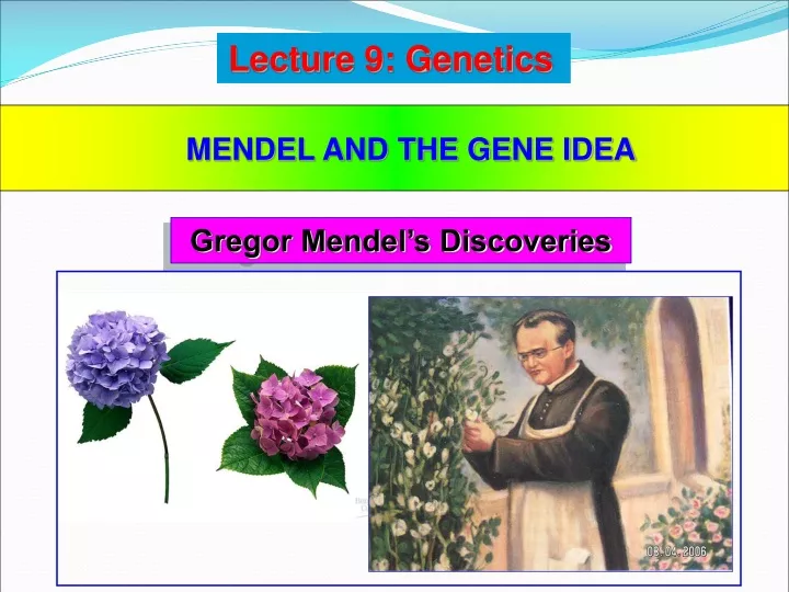 lecture 9 genetics