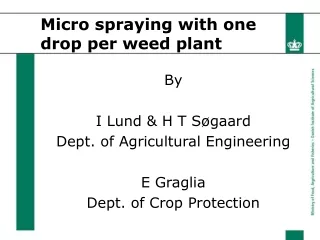 Micro spraying with one drop per weed plant