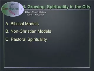 C. Pastoral Spirituality