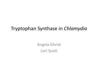 Tryptophan  Synthase  in  Chlamydia