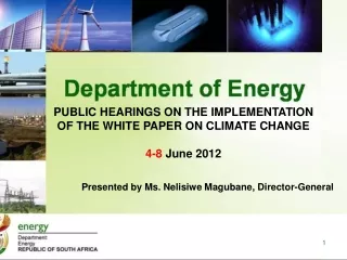 PUBLIC HEARINGS ON THE IMPLEMENTATION OF THE WHITE PAPER ON CLIMATE CHANGE 4-8  June 2012