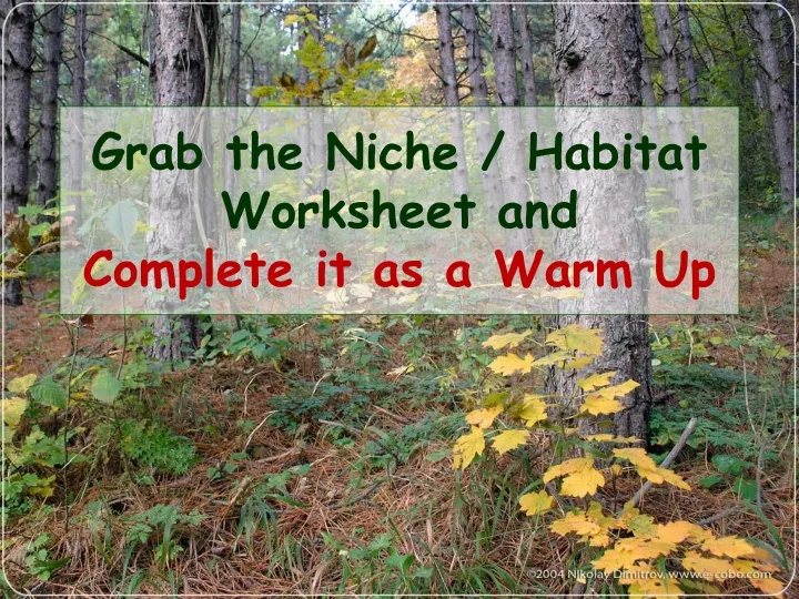 grab the niche habitat worksheet and complete it as a warm up