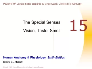 The Special Senses Vision, Taste, Smell