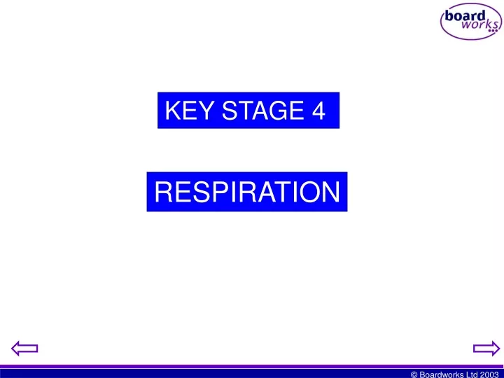key stage 4