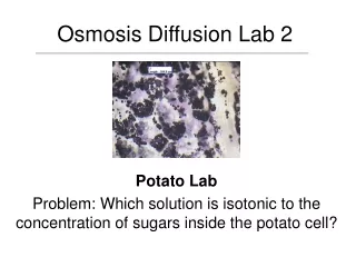 Osmosis Diffusion Lab 2